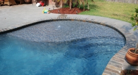 freeform-gunite-pool-with-tanning-ledge-bubbler-diamond-brite-plaster-slate-bullnosed-coping