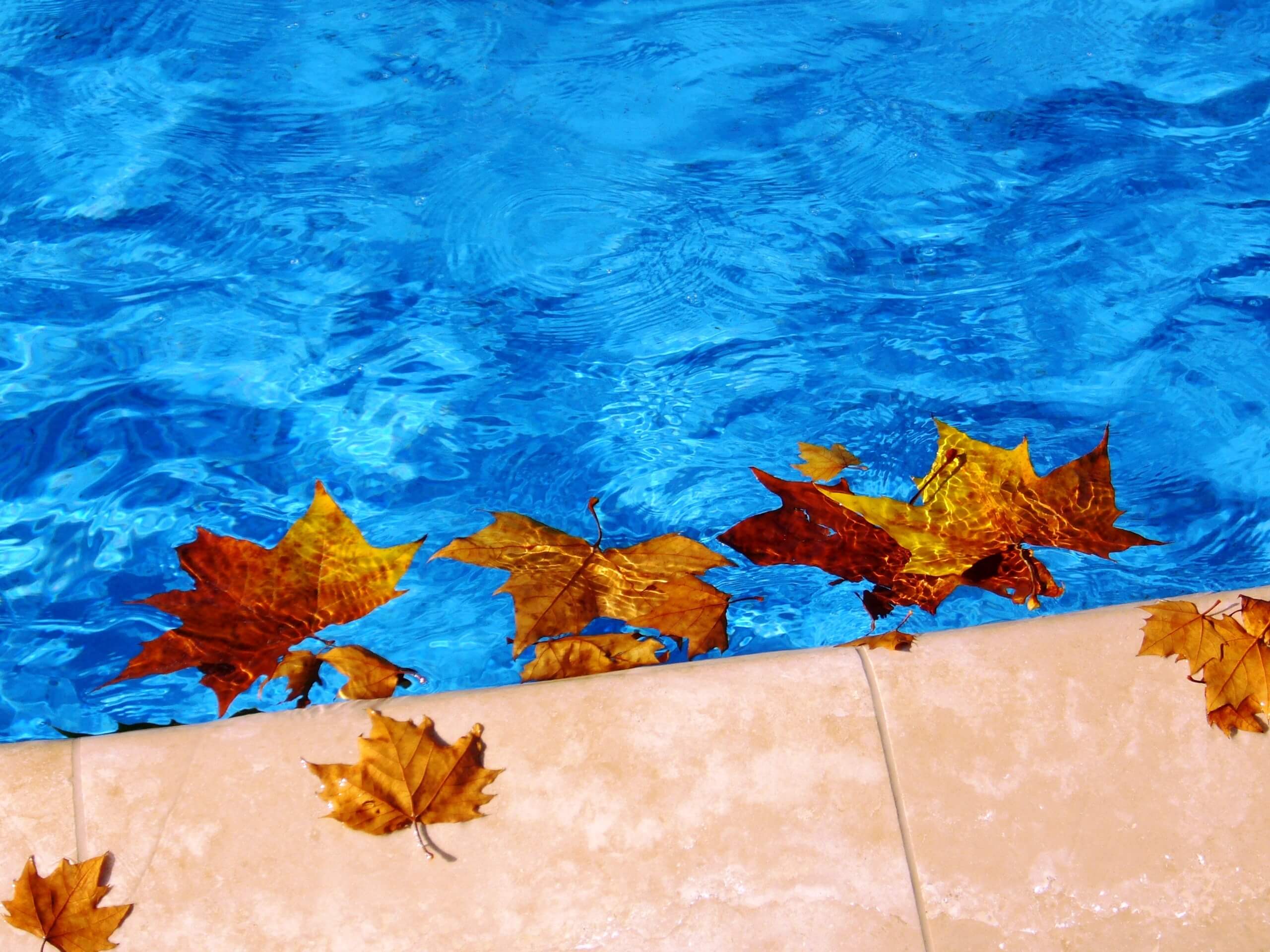 Taking Care of Your Pool in the Fall