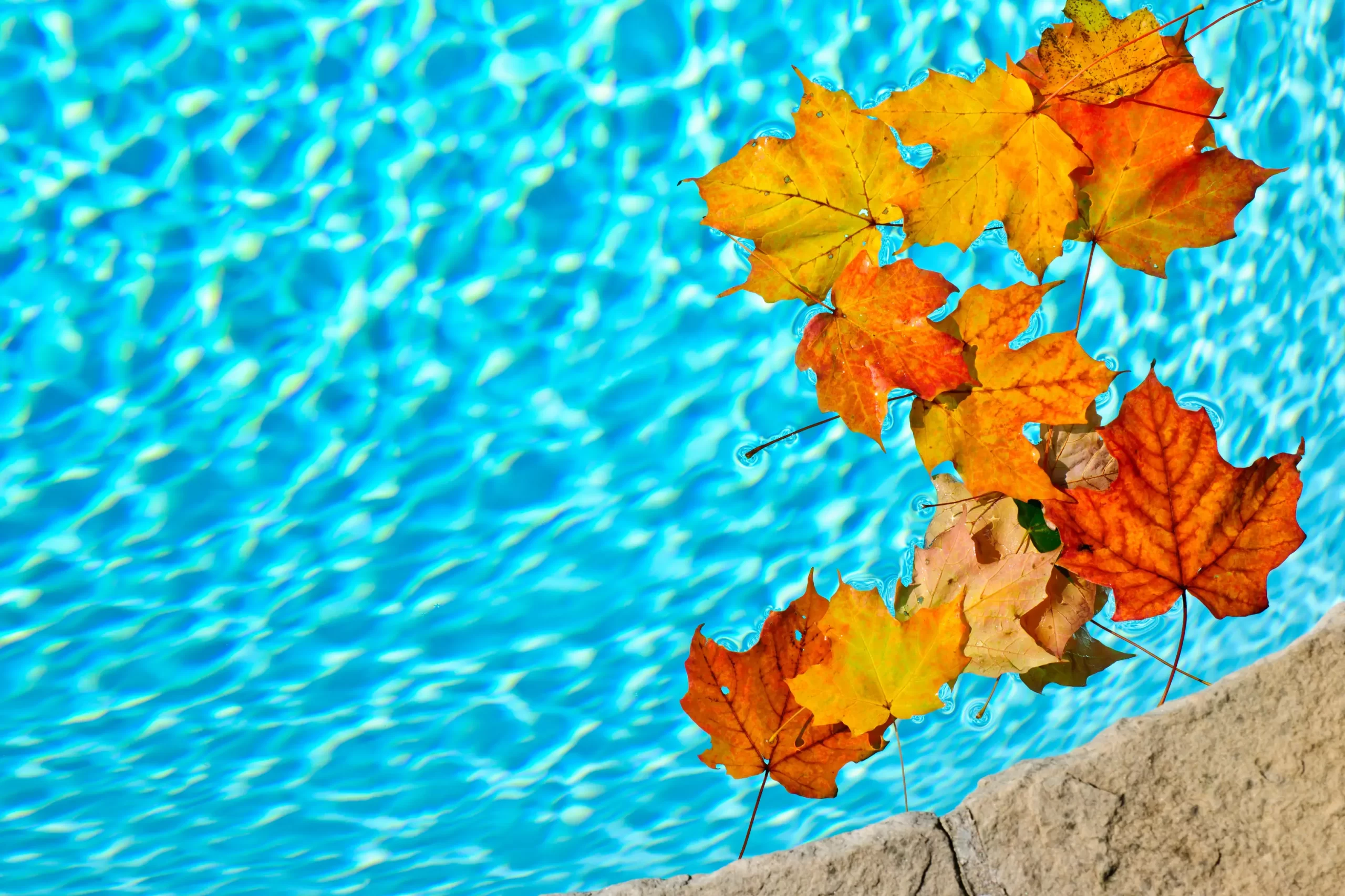 Seasonal Pool Maintenance for the Non-Winterized Pool